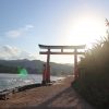 【宮崎】南国ムードたっぷりな青島に行ってきたよ☆神社と絶景とグルメも！